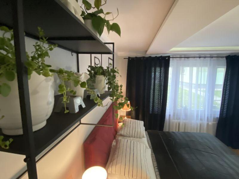Apartament ,, Sen I Kawa" - Komfortowy Nocleg W Sercu Aglomeracji Bytom Exterior photo